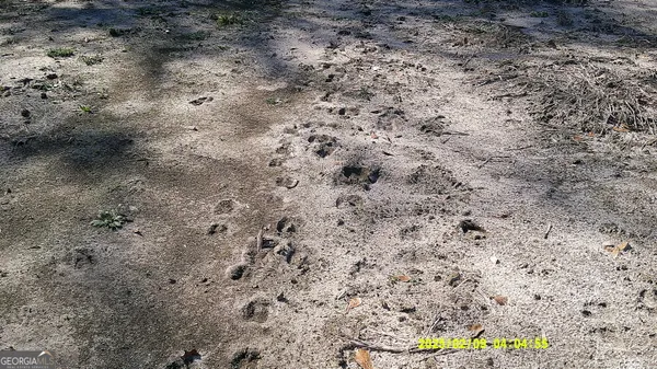 a backyard of a house with yard and outdoor seating