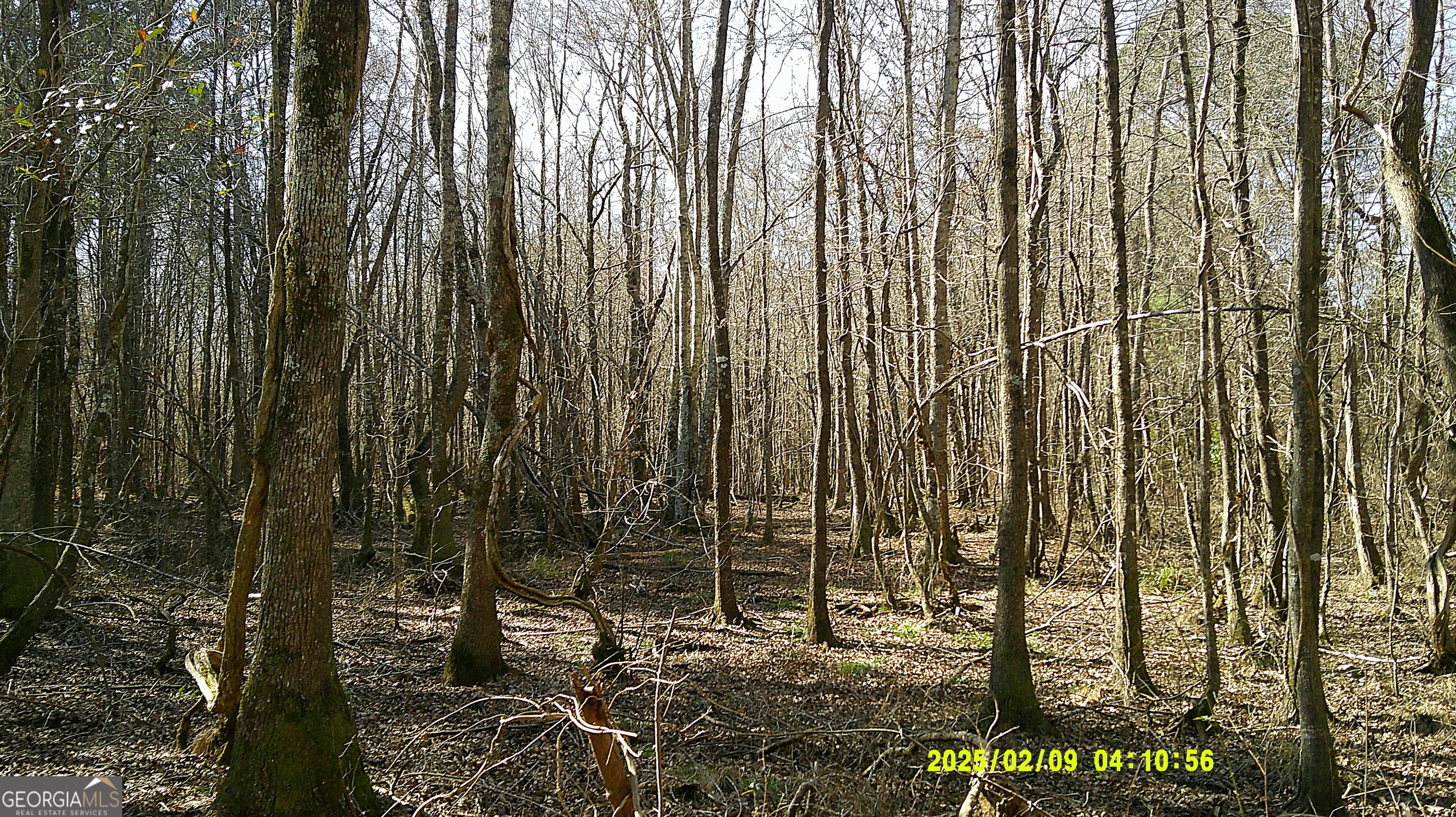 0 Elko Road Unadilla, GA 31091 - Photo 7 of 29