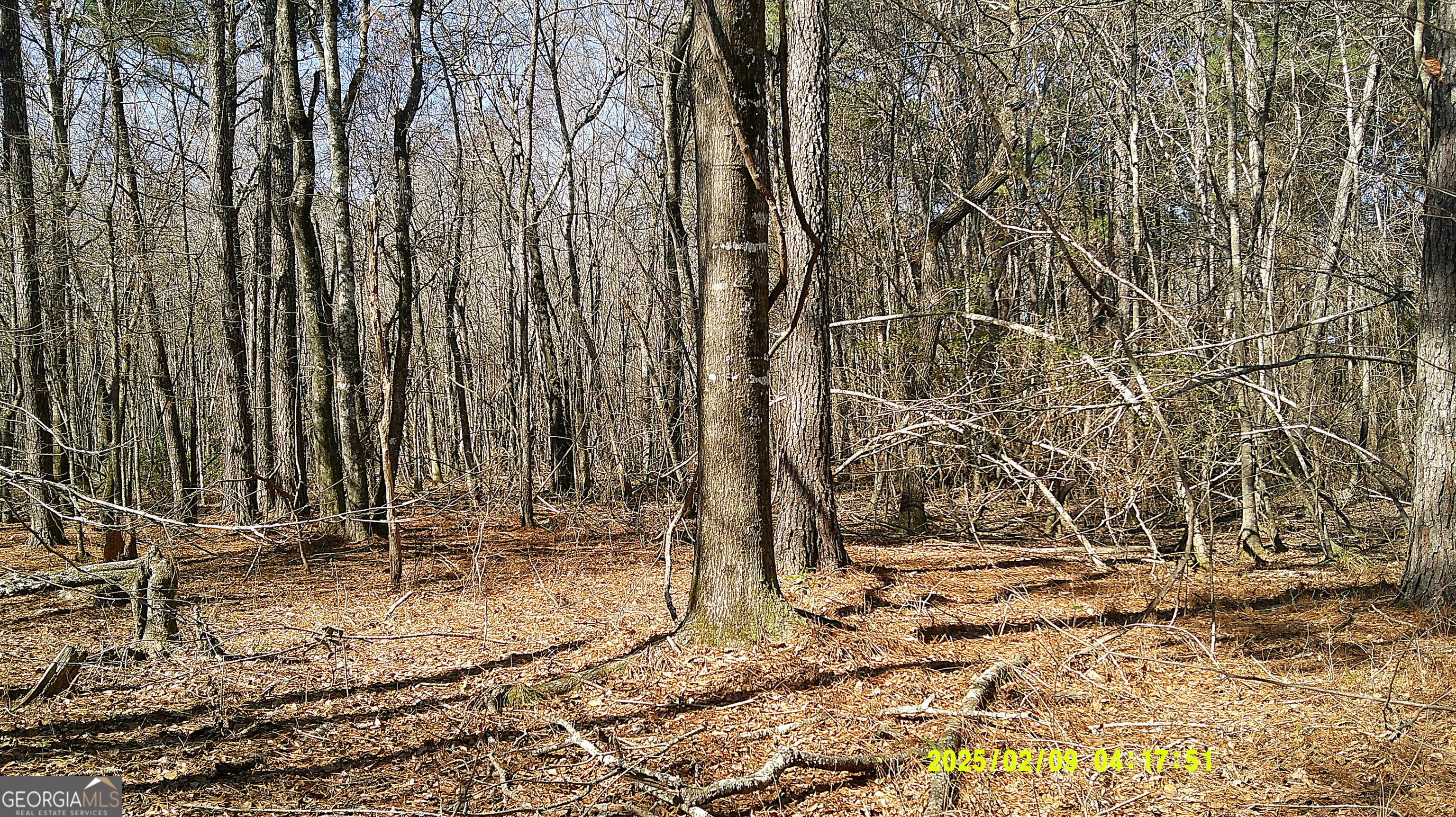 0 Elko Road Unadilla, GA 31091 - Photo 10 of 29 a backyard of a house with yard and outdoor seating