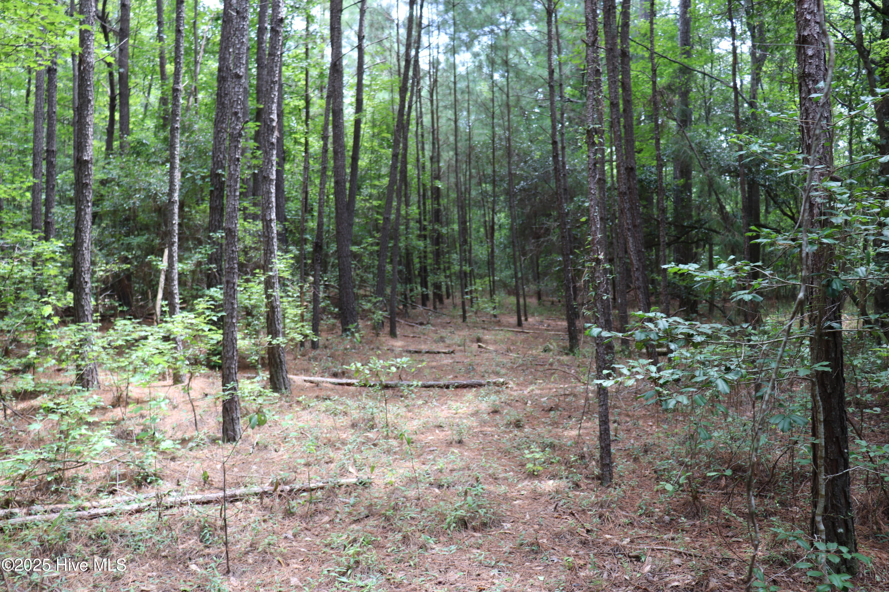 Tbd Browntown Road Riegelwood, NC 28456 - Photo 11 of 16 14