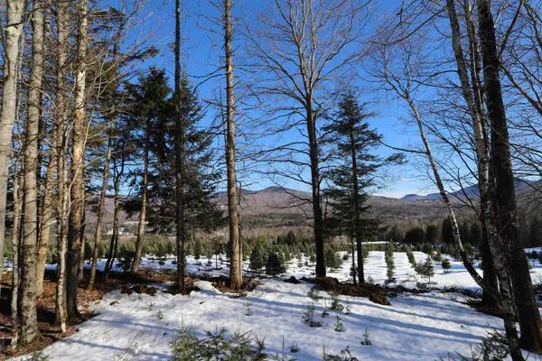 $249,900 | 374 Crank Road, Bloomfield, VT 05905