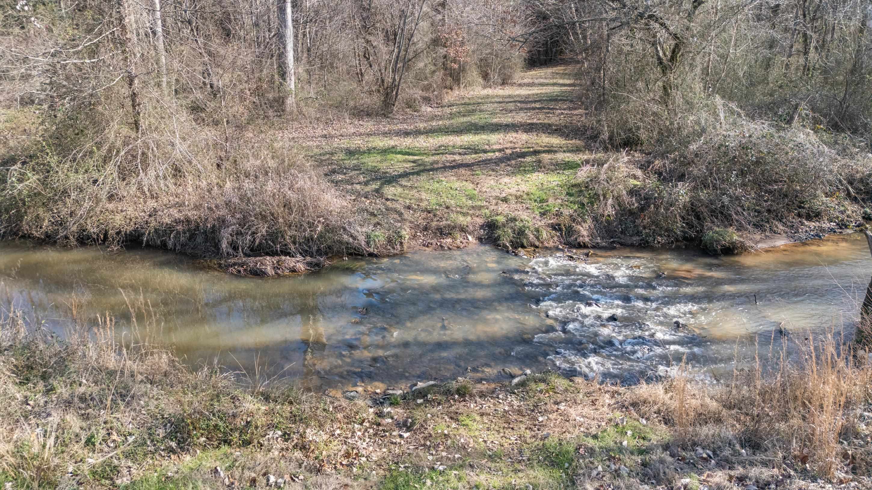 891 Musgray Road Holly Springs, MS 38635 - Photo 36 of 38 a view of a yard with a tree