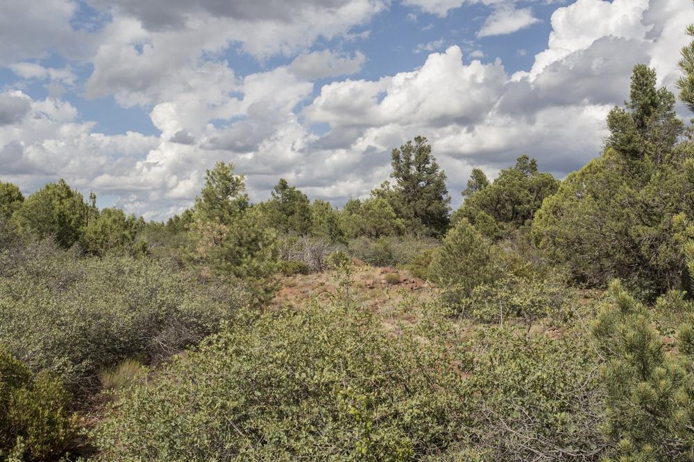 1200 West Airport Road Payson, AZ 85541 - Photo 34 of 50
