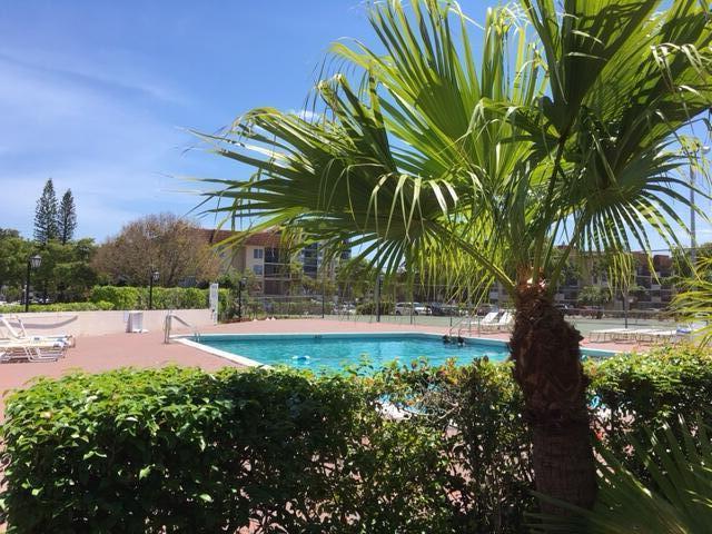 4154 Inverrary Drive, Unit 407 Lauderhill, FL 33319 - Photo 34 of 39 a couple of palm trees sitting in the backyard of a house