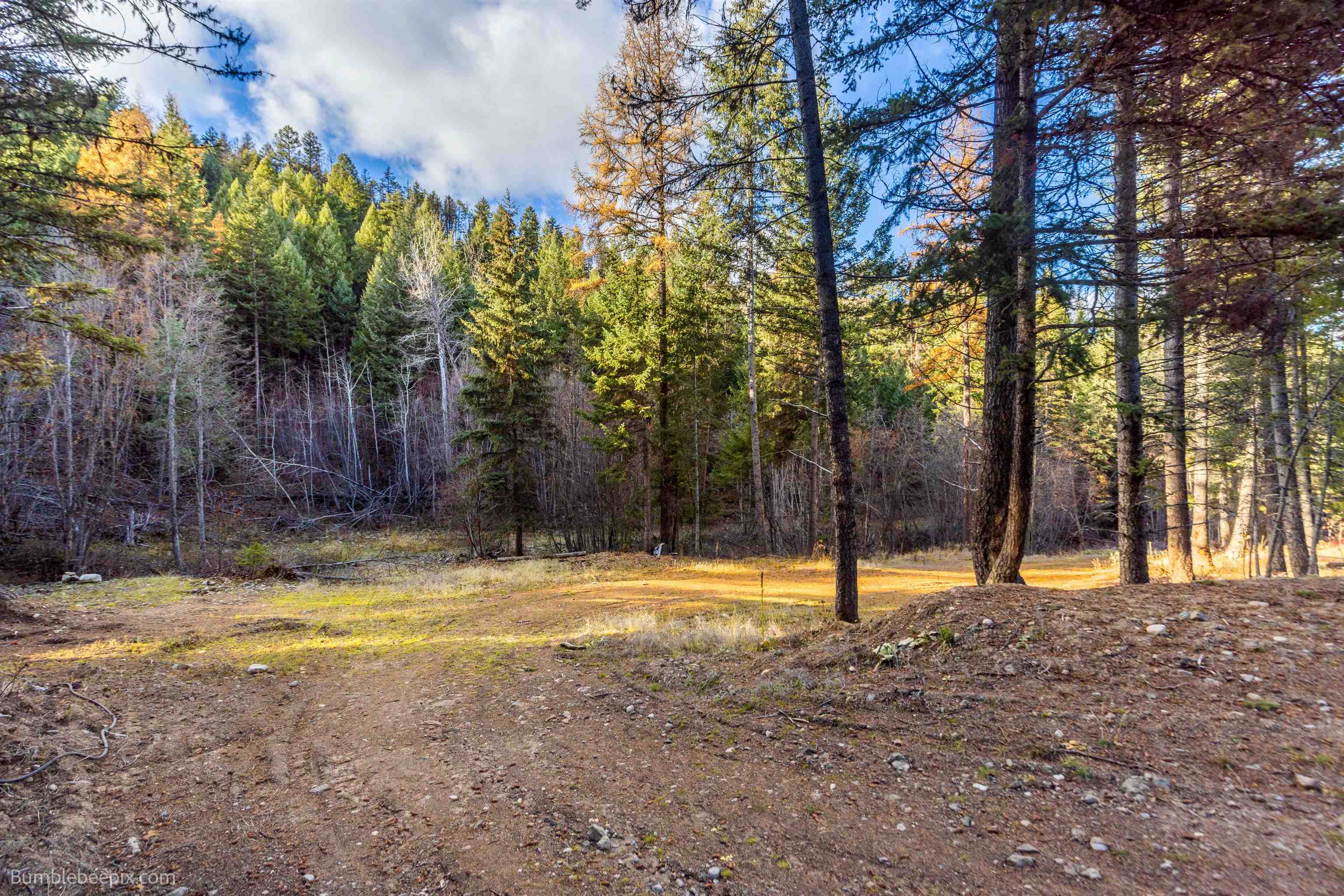 36 Quill Road Republic, WA 99166 - Photo 27 of 40