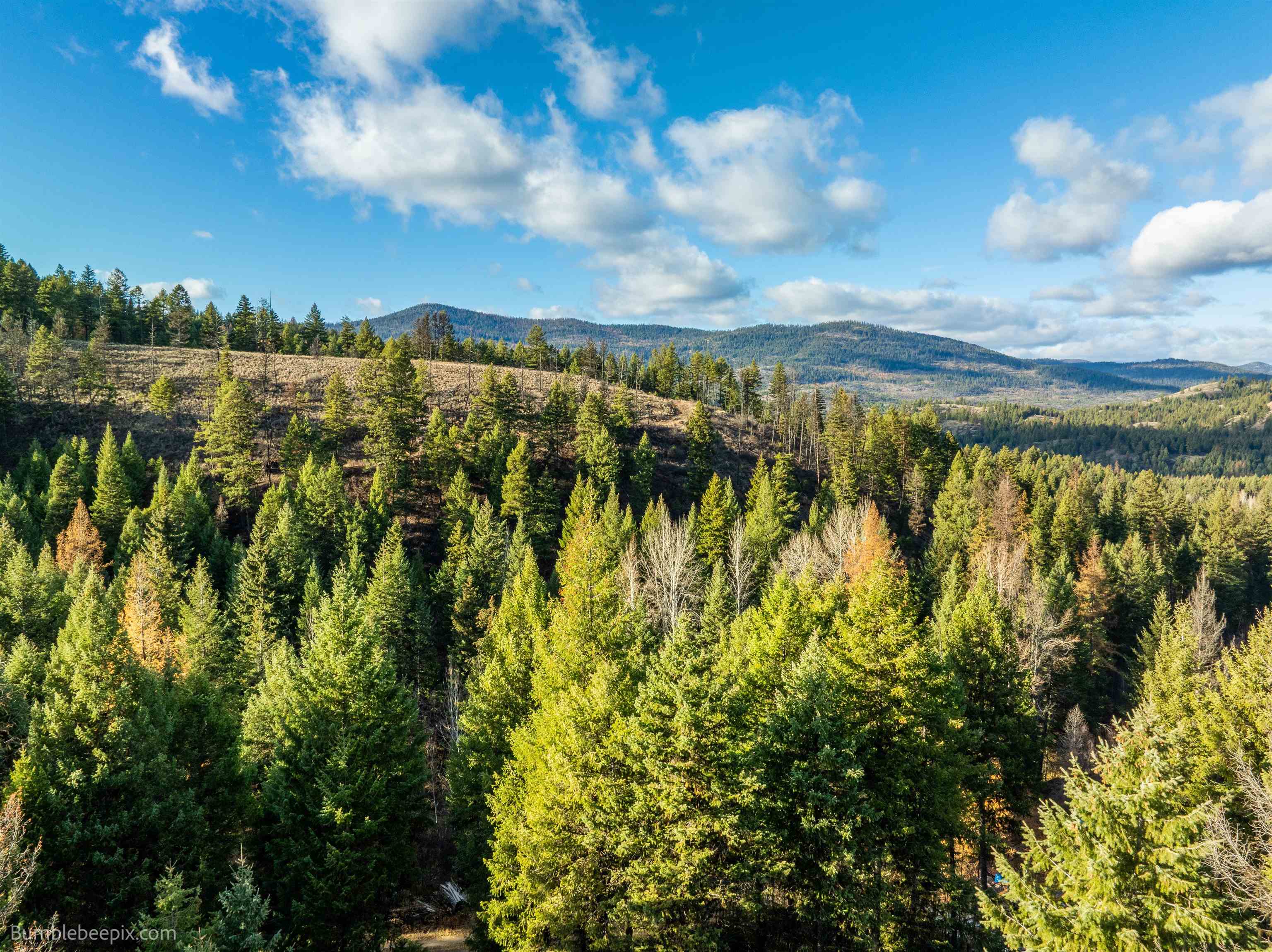 36 Quill Road Republic, WA 99166 - Photo 7 of 40