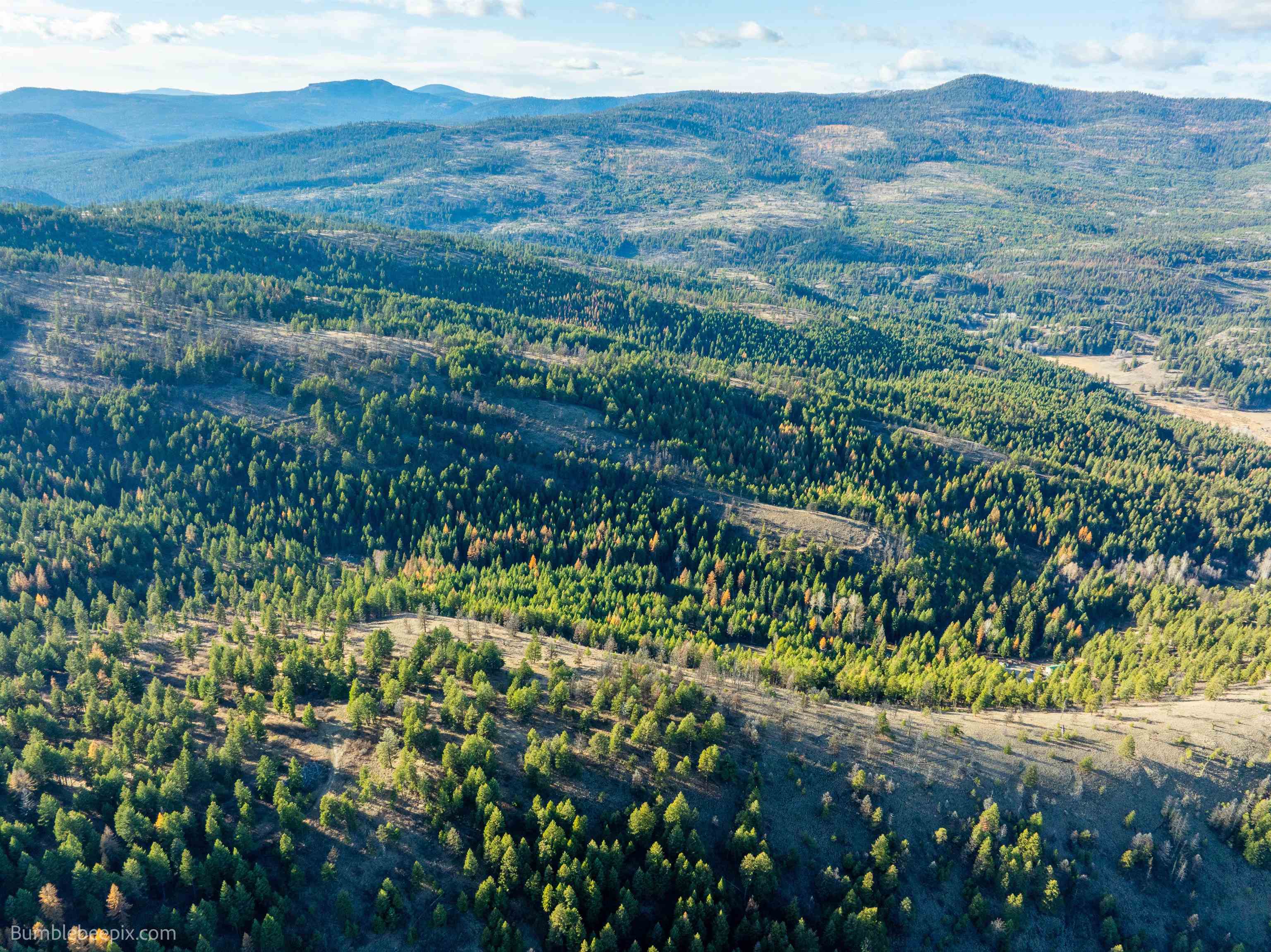 36 Quill Road Republic, WA 99166 - Photo 10 of 40