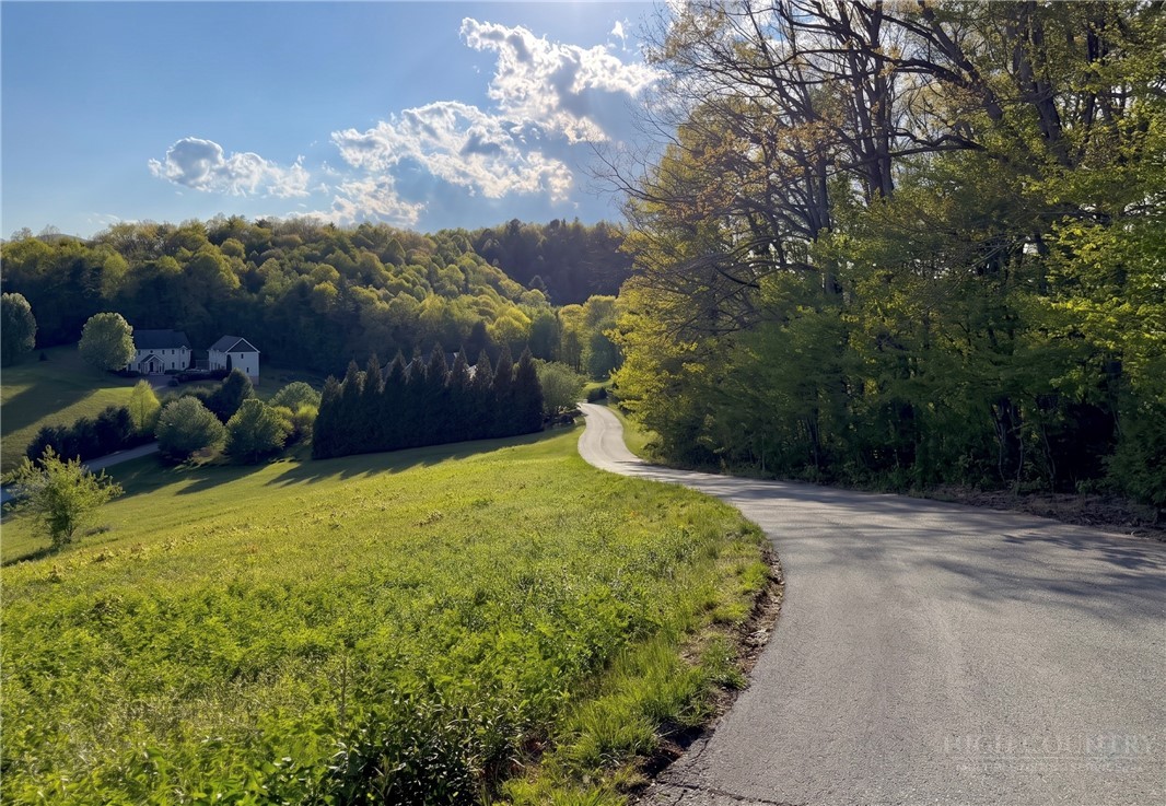 Lot 27 Hartley Knob Road Boone, NC 28607 - Photo 4 of 15