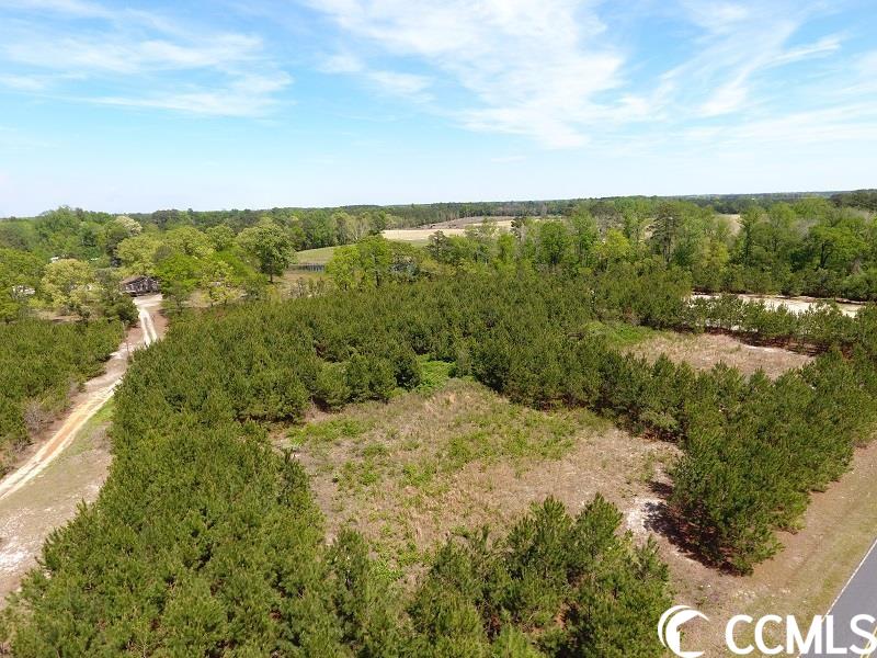 13 Lee Road Gibson, NC 28343 - Photo 1 of 3