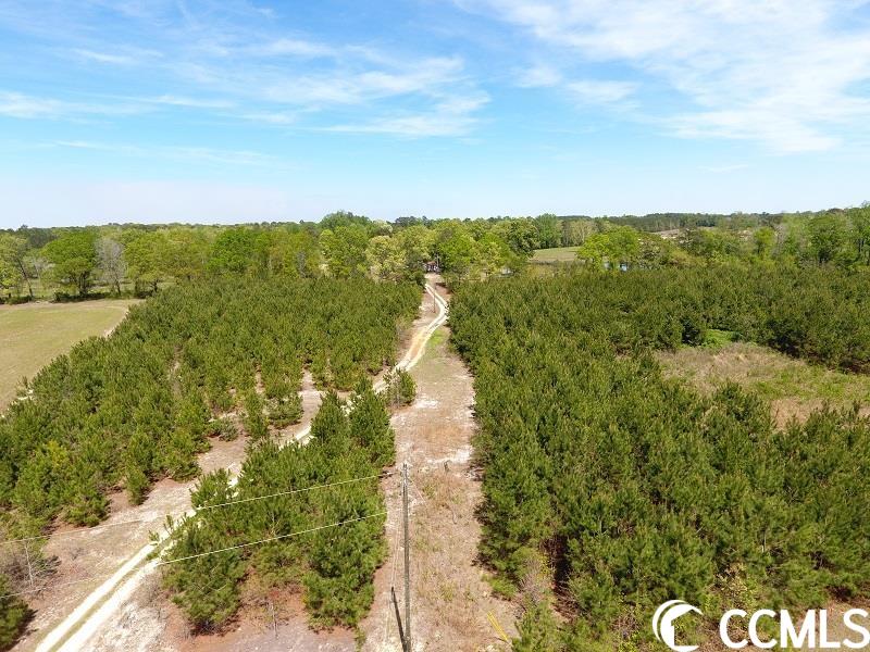13 Lee Road Gibson, NC 28343 - Photo 2 of 3
