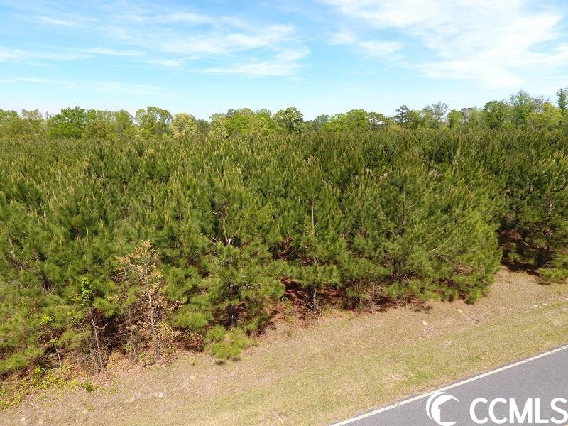 13 Lee Road Gibson, NC 28343 - Photo 3 of 3