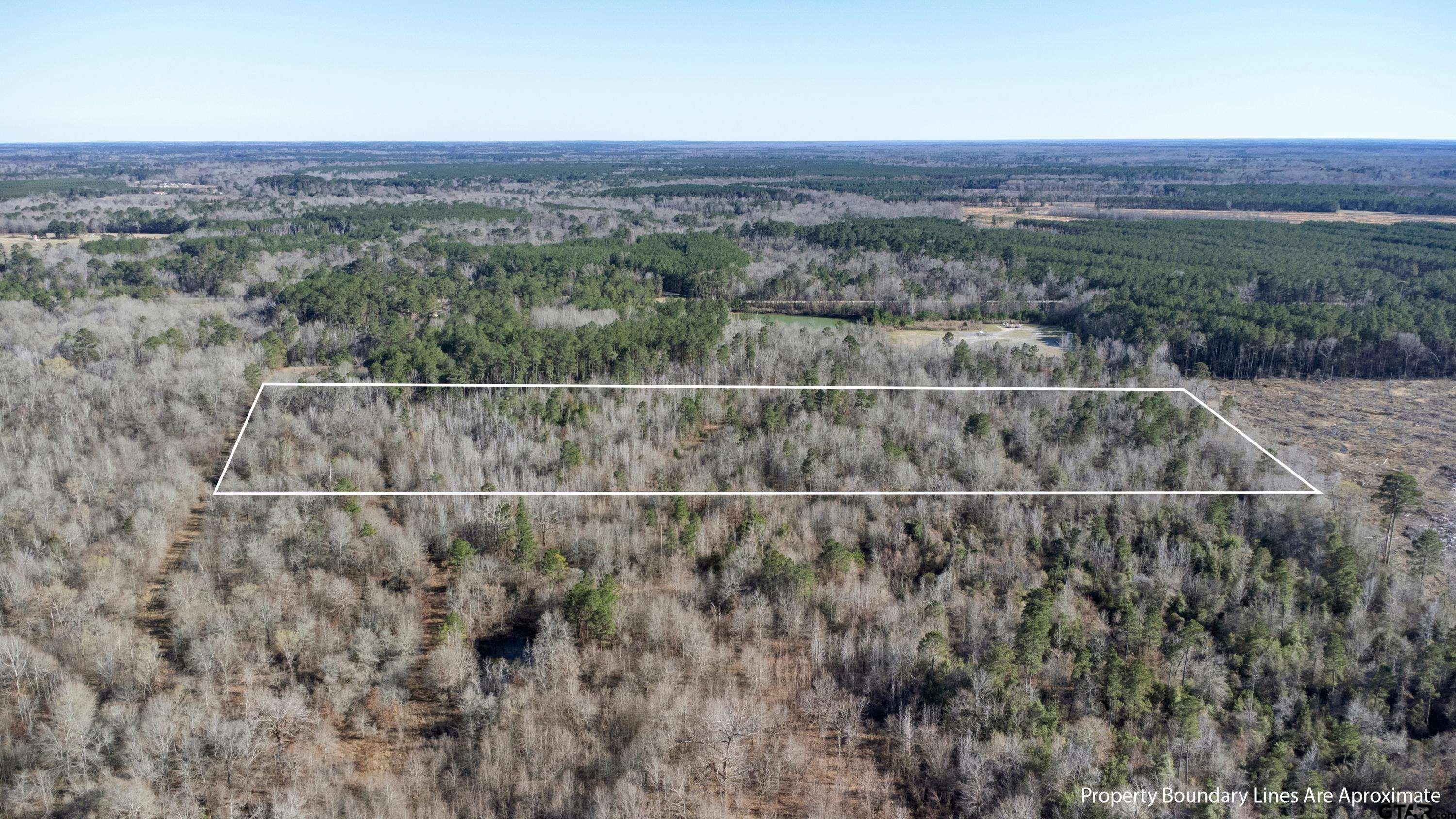 18.75 Acres County Road De Berry, TX 75639 - Photo 6 of 6