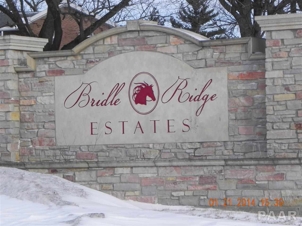 24 Stallion Way Goodfield, IL 61742 - Photo 1 of 2