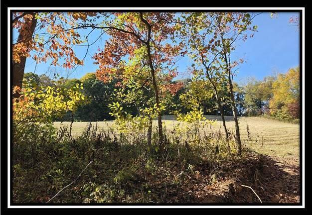 0 Maysville-Williams Road, Unit TRACT 1) Logan, OH 43138 - Photo 24 of 47 image024