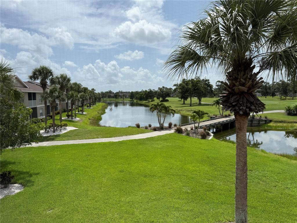 5320 Hyland Hills Avenue, Unit 2222 Sarasota, FL 34241 - Photo 29 of 29 a view of a lake with a big yard and palm trees