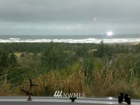 2815 Willows Road, Unit 113 Seaview, WA 98644 - Photo 1 of 14 Gallery Image 1