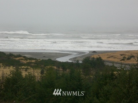 2815 Willows Road, Unit 113 Seaview, WA 98644 - Photo 3 of 14 Gallery Image 3