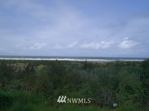 2815 Willows Road, Unit 113 Seaview, WA 98644 - Photo 6 of 14 Gallery Image 6