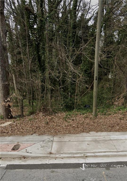 3155 Washington Road Atlanta, GA 30344 - Photo 2 of 2 a view of a yard with a tree