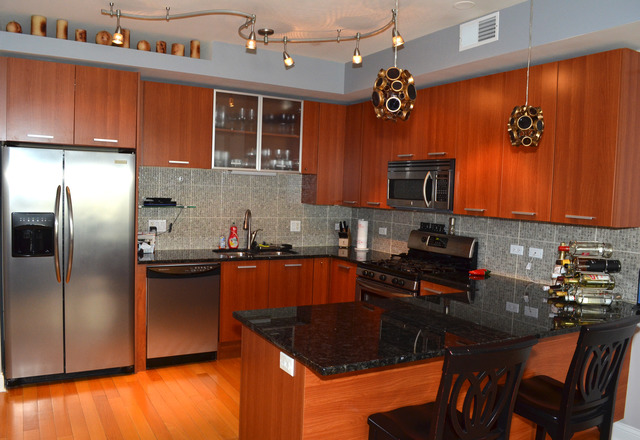 1601 South State Street, Unit 2A Chicago, IL 60616 - Photo 2 of 15