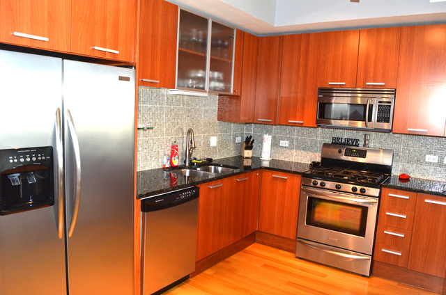 1601 South State Street, Unit 2A Chicago, IL 60616 - Photo 3 of 15