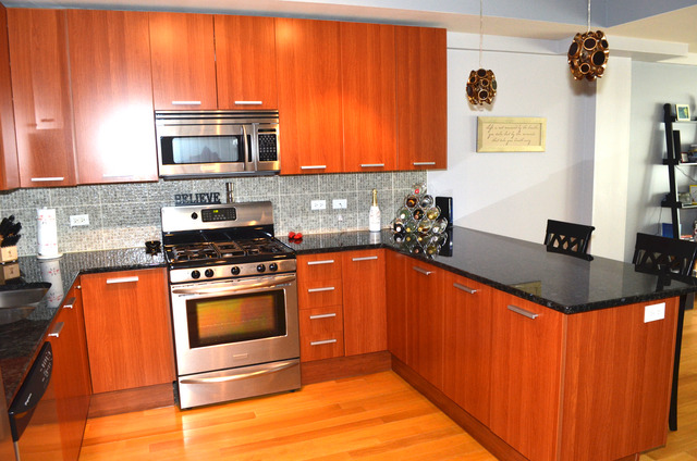 1601 South State Street, Unit 2A Chicago, IL 60616 - Photo 4 of 15