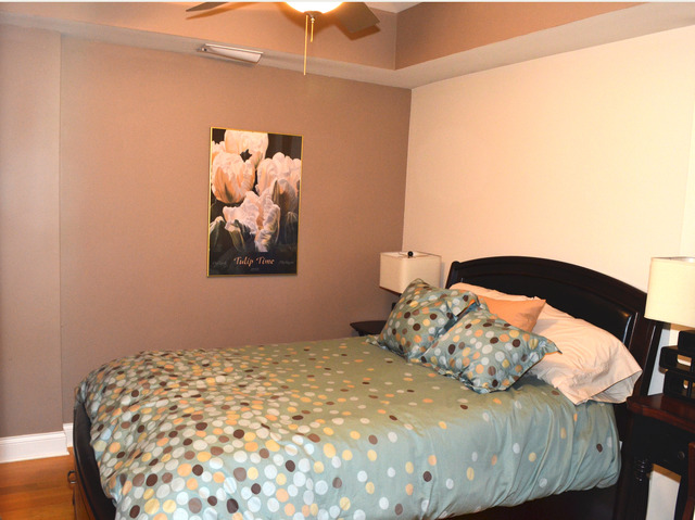 1601 South State Street, Unit 2A Chicago, IL 60616 - Photo 9 of 15