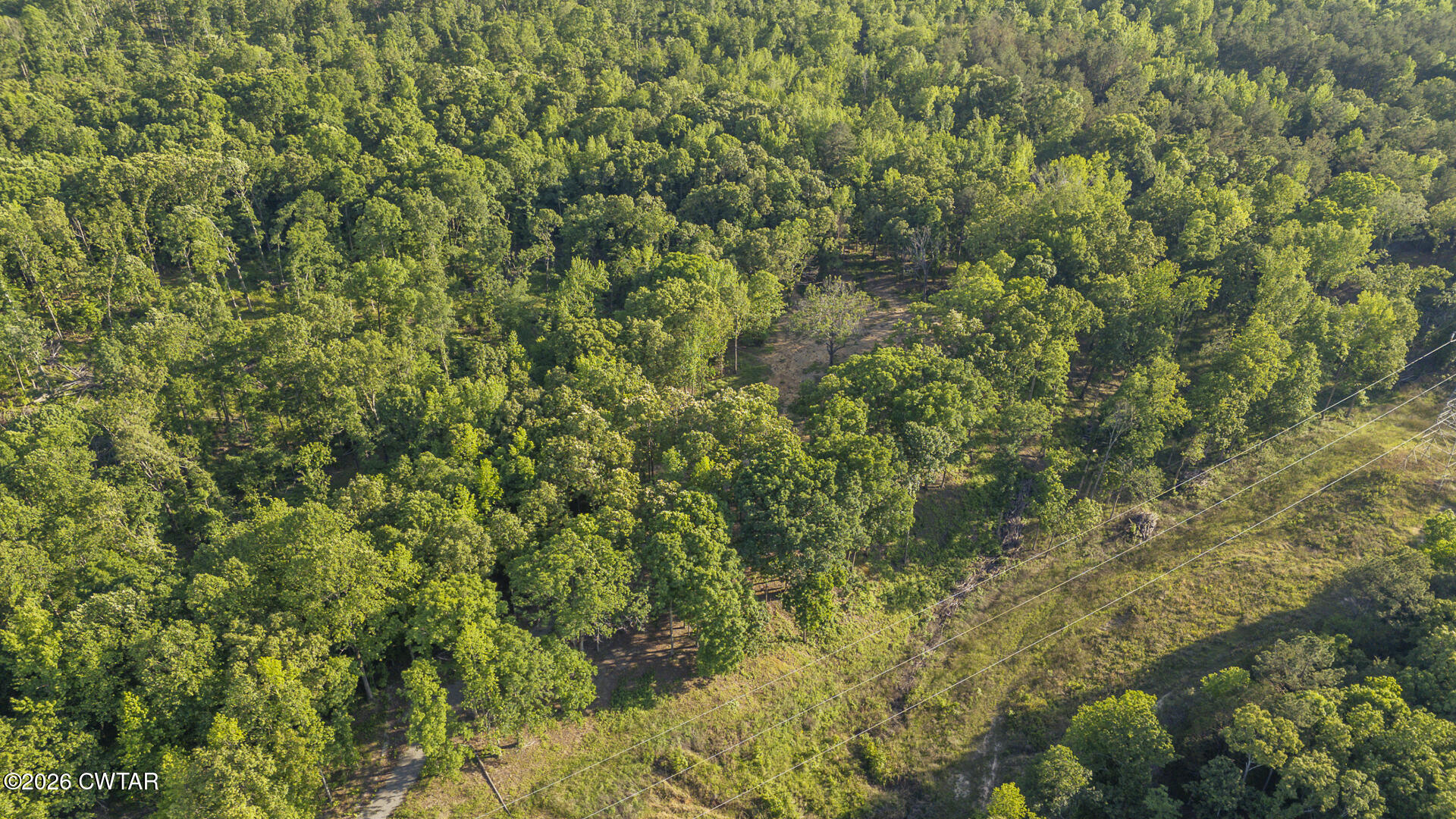 200 Deep Gap Road Jackson, TN 38301 - Photo 13 of 19 a view of a lush green forest