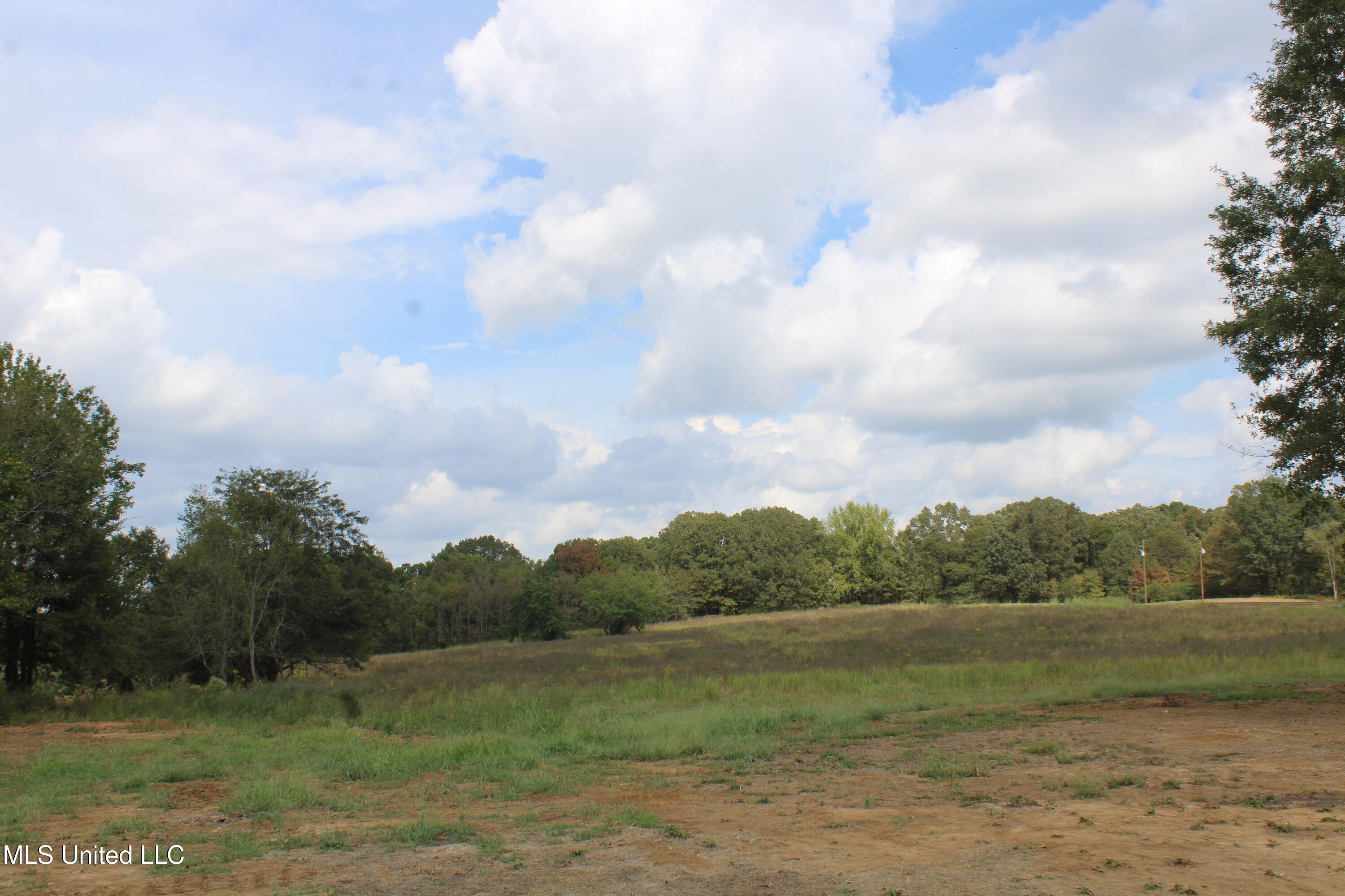 21 Hickory Hollow Road Coldwater, MS 38618 - Photo 61 of 70 IMG_6621