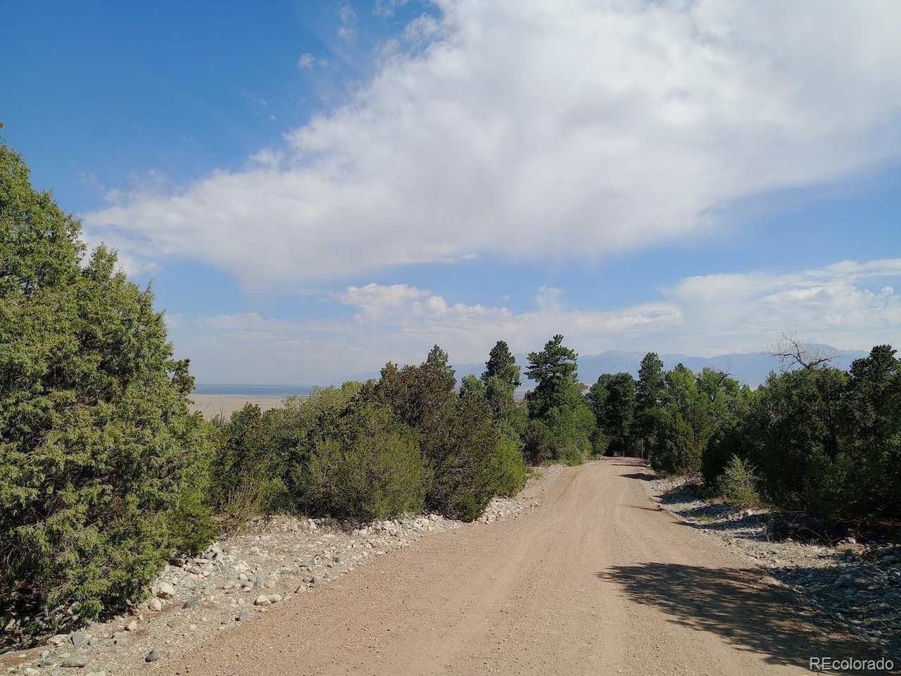 210 Big Bear Road Mosca, CO 81146 - Photo 10 of 10