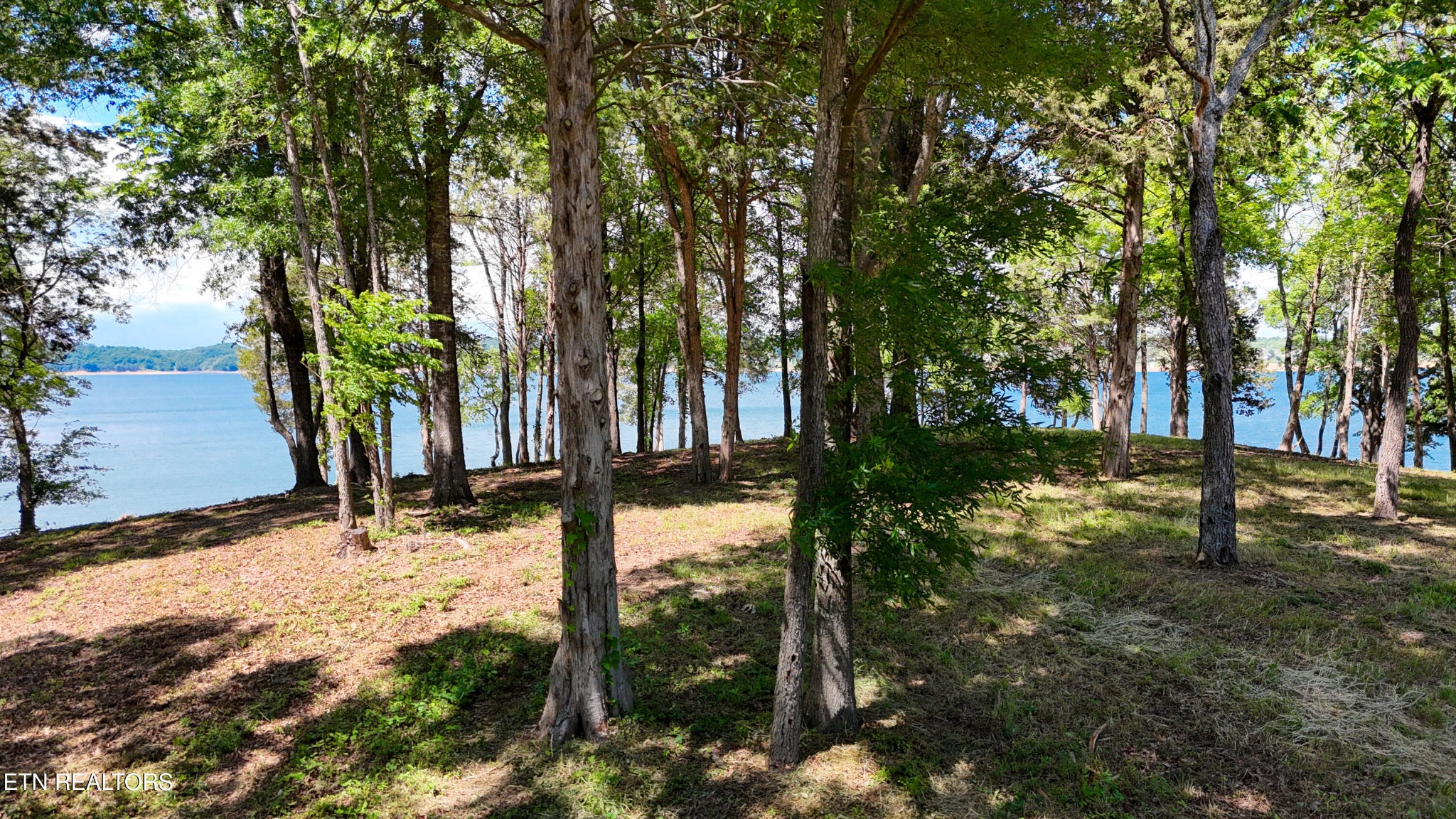 122 Ridge Point Trail Dandridge, TN 37725 - Photo 3 of 33