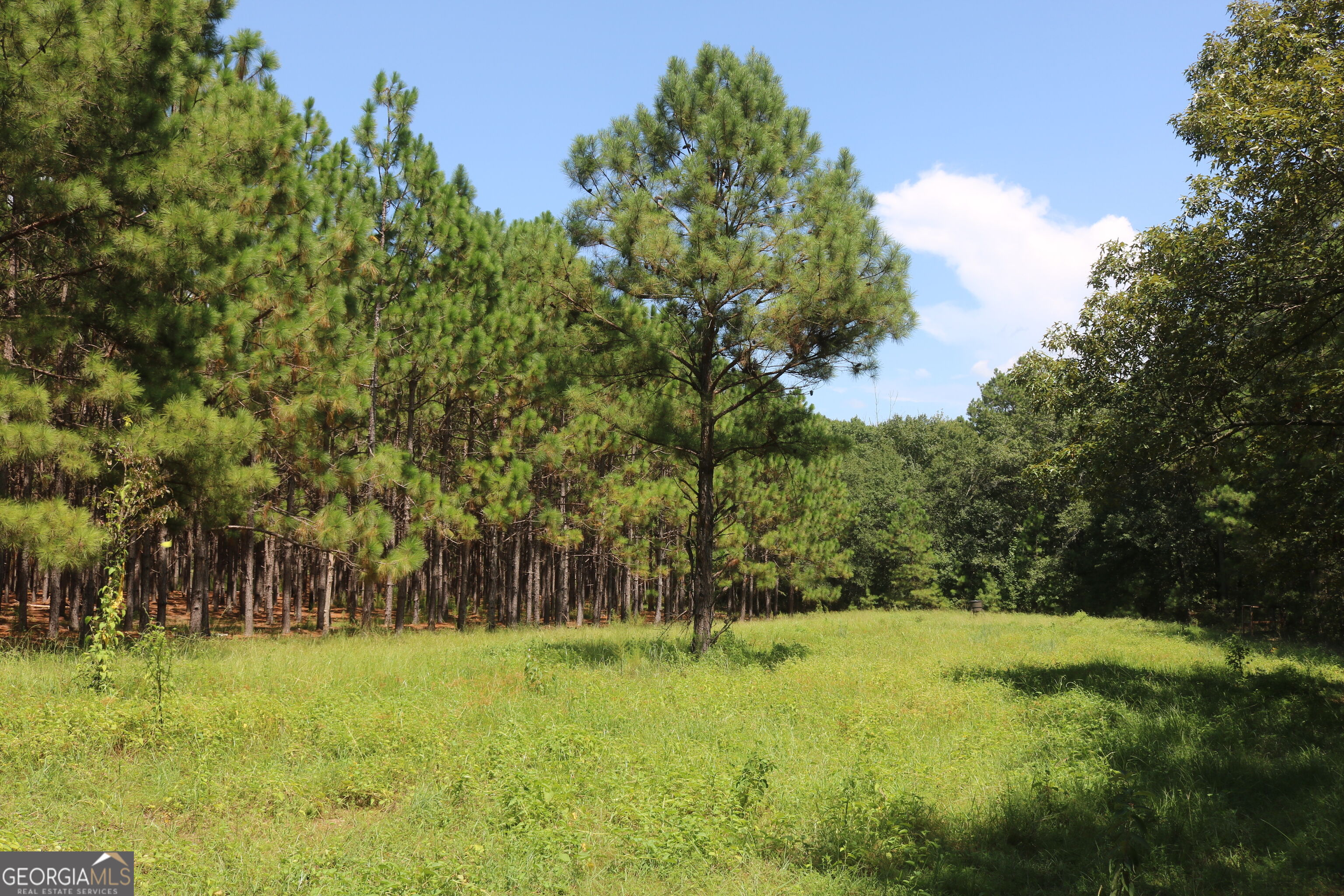 0 Barentine Road Rochelle, GA 31079 - Photo 31 of 38 Gallery Image 31
