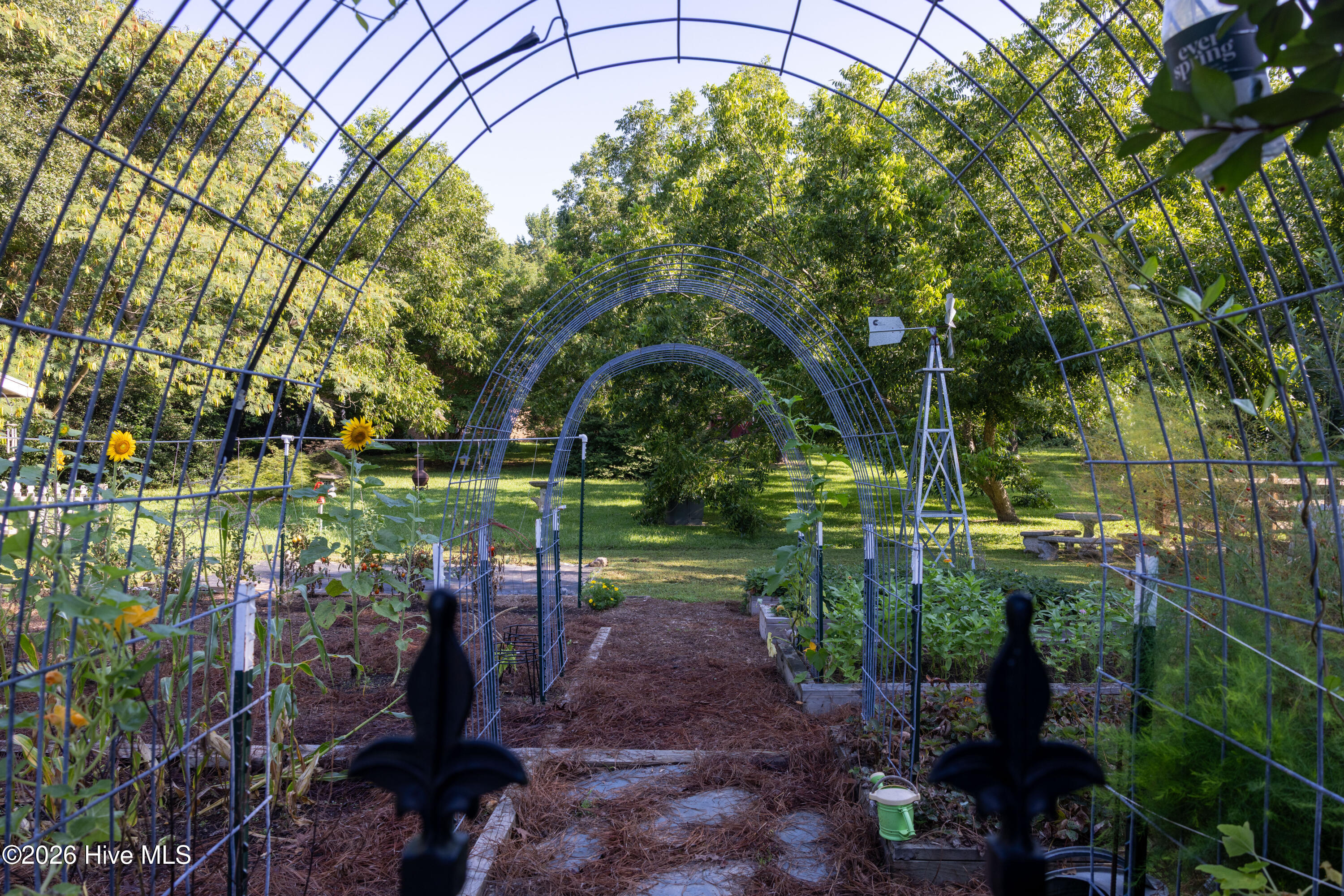 159 Hickory Fork Road Edenton, NC 27932 - Photo 45 of 53 Garden