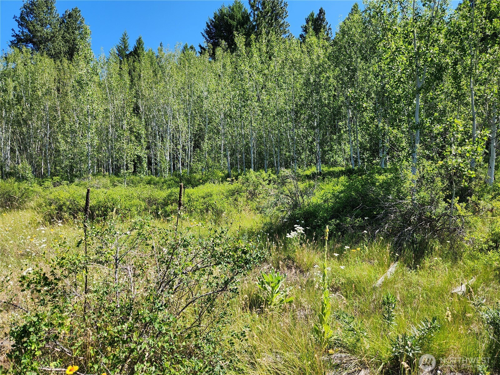 18 Robin Road Republic, WA 99166 - Photo 17 of 28 Gallery Image 17