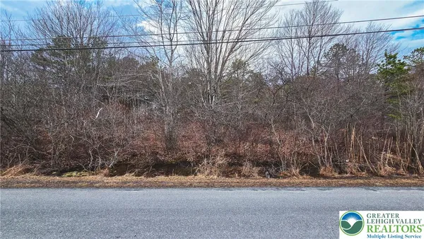 a view of a dry yard next to a road