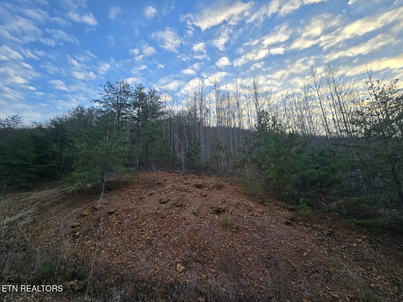 Crooked Branch Road Huntsville, TN 37756 - Photo 1 of 7 20250102_170911