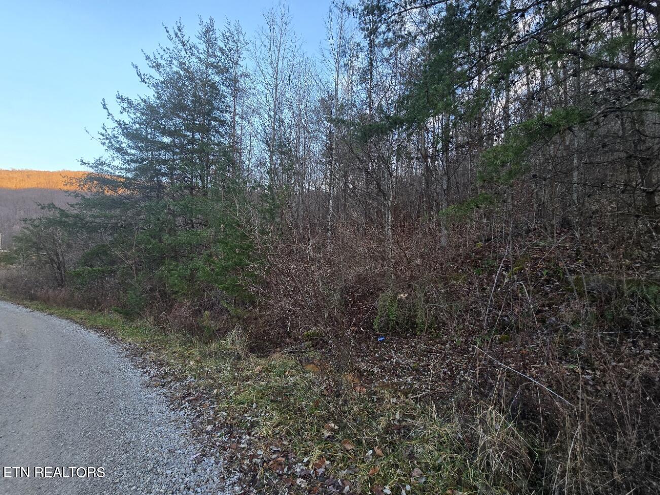 Crooked Branch Road Huntsville, TN 37756 - Photo 2 of 7 20250102_170711