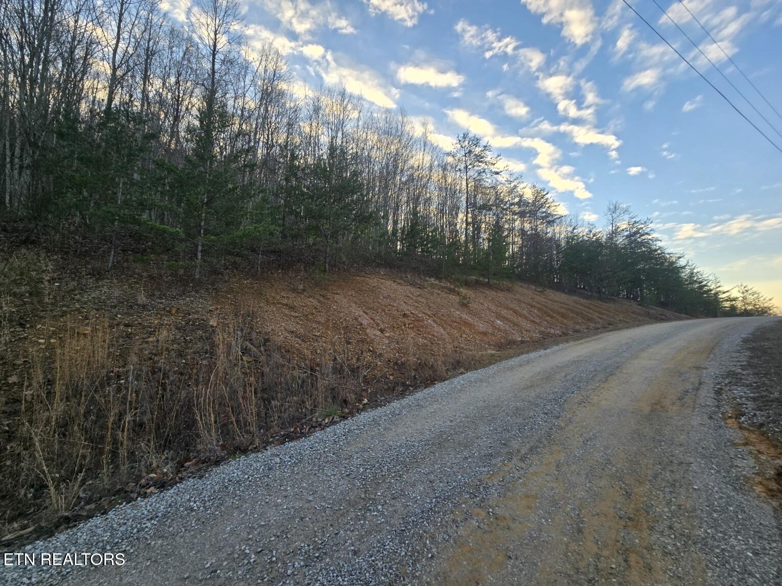 Crooked Branch Road Huntsville, TN 37756 - Photo 3 of 7 20250102_170735