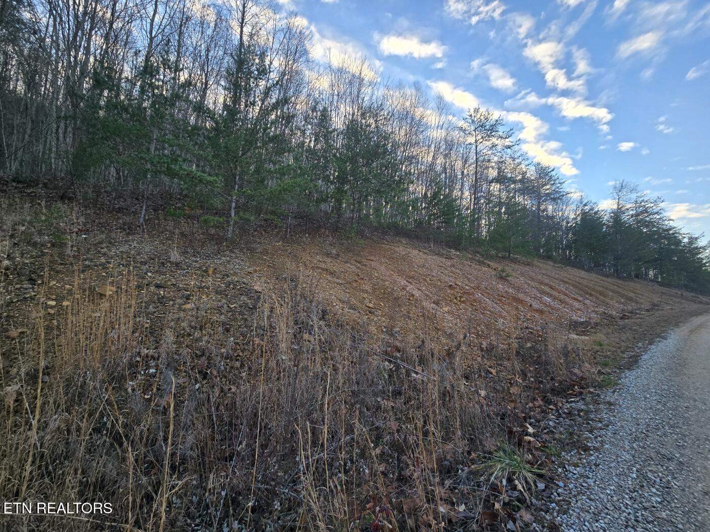 Crooked Branch Road Huntsville, TN 37756 - Photo 5 of 7 20250102_170751