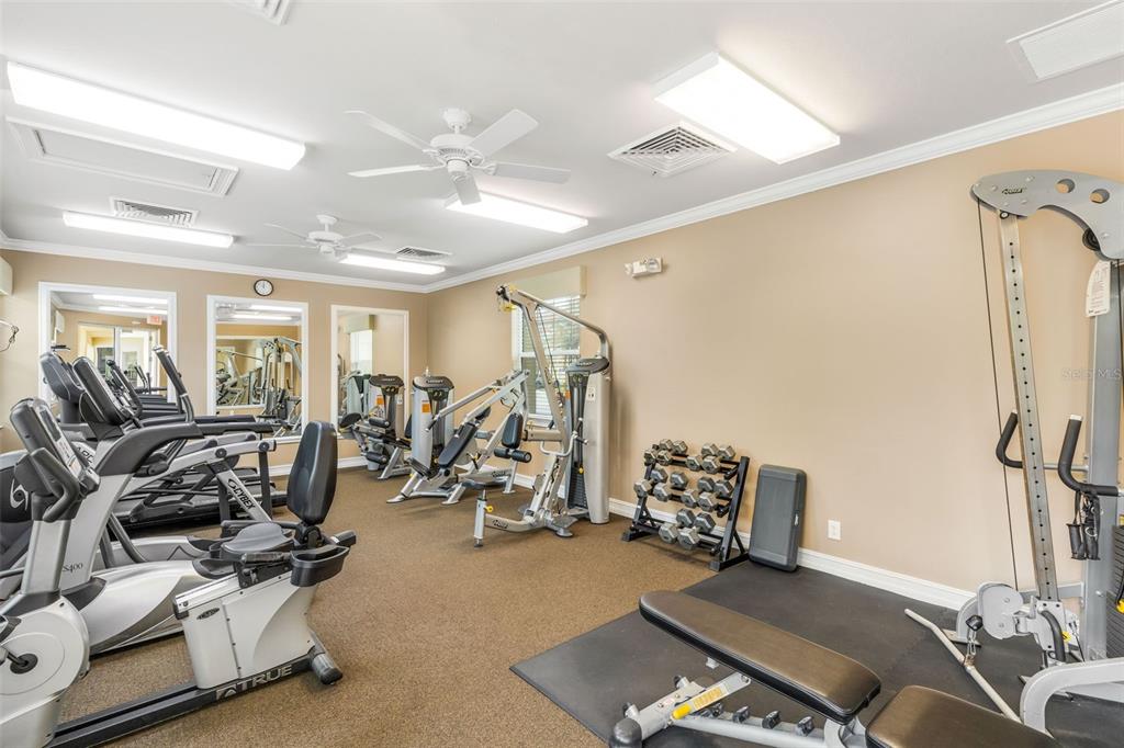 4284 Expedition Way Osprey, FL 34229 - Photo 38 of 40 a room with gym equipment and mirror