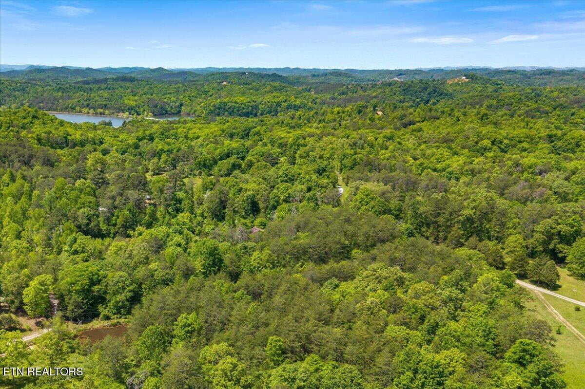 215 Citico Road Vonore, TN 37885 - Photo 7 of 10 06-00 Citico Rd. Lot 2-3