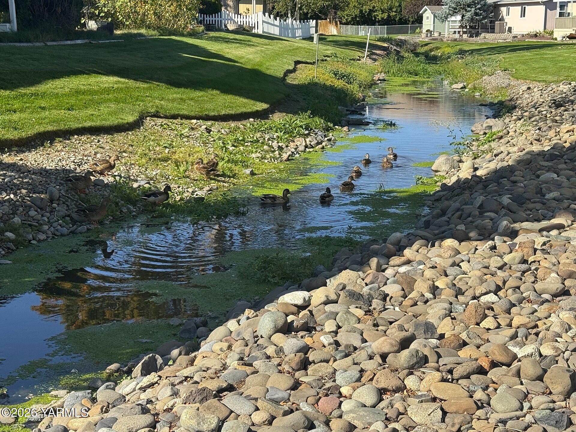 3701 Gun Club Road, Unit 88 Yakima, WA 98901 - Photo 29 of 34 0024m Ducks in the community ditch