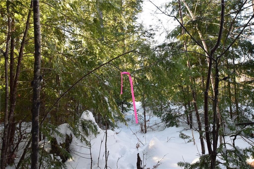 Off North Chester Road Lincoln, ME 04457 - Photo 2 of 15 Maine Land for Sale in North Chester
