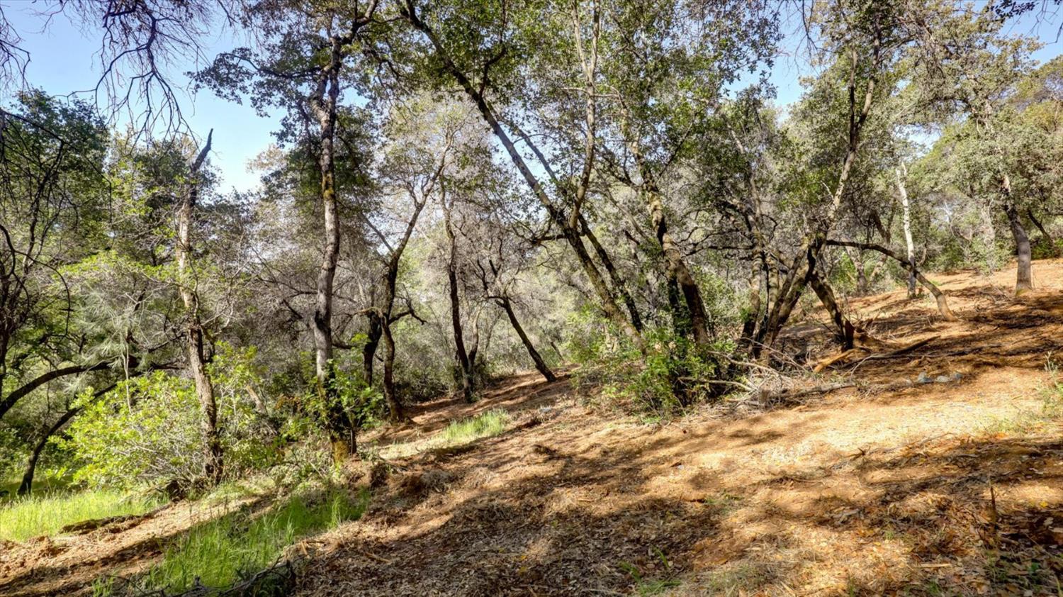 0 Southridge Road Penn Valley, CA 95946 - Photo 50 of 72