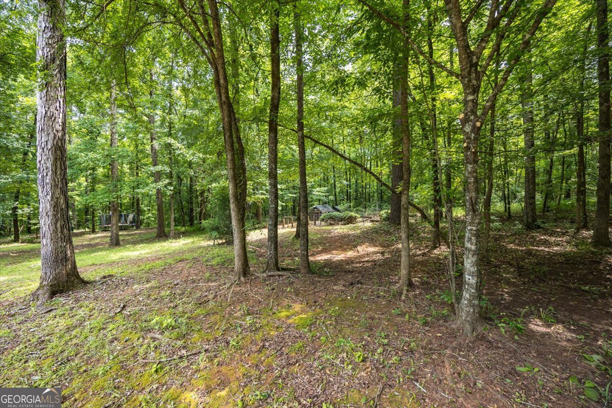 201 Manor Court Forsyth, GA 31029 - Photo 29 of 30