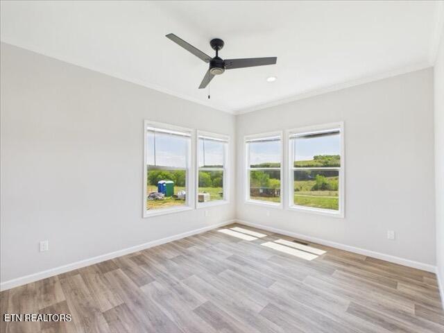 4412 Barding Drive Russellville, TN 37860 - Photo 59 of 60 30-IMG_2132 Medium