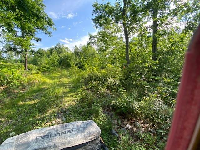 Lot 38 Off Powhatan Road Otisfield, ME 04270 - Photo 3 of 6 2