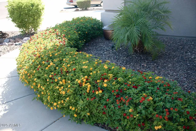 $535,000 | 2074 East 37th Avenue, Apache Junction, AZ 85119