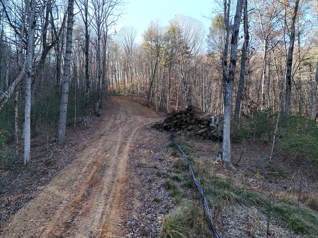 5-acres Hells Holw Way Blue Ridge, GA 30513 - Photo 11 of 43 Gallery Image 11
