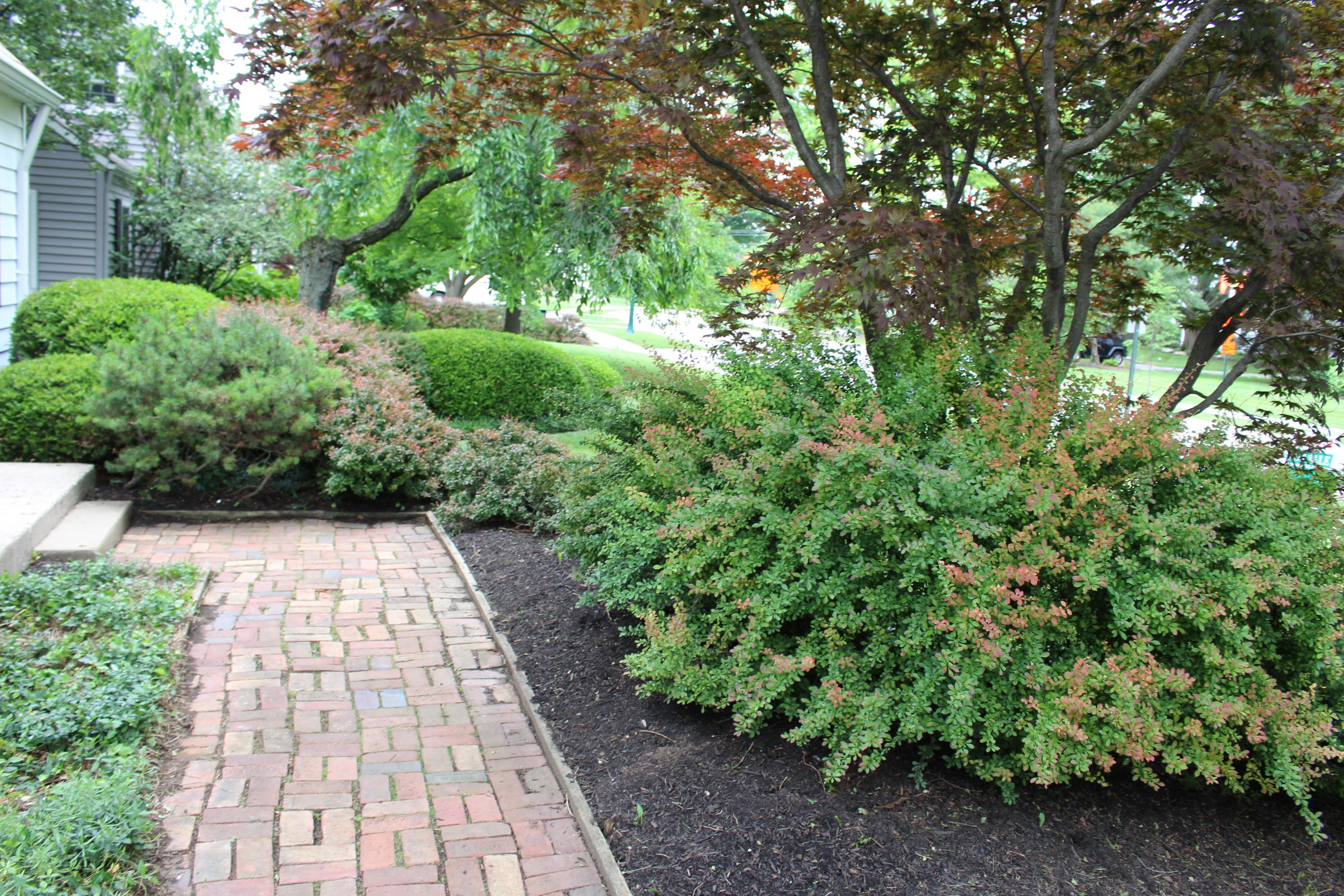 1768 Waltham Road Upper Arlington, OH 43221 - Photo 4 of 42